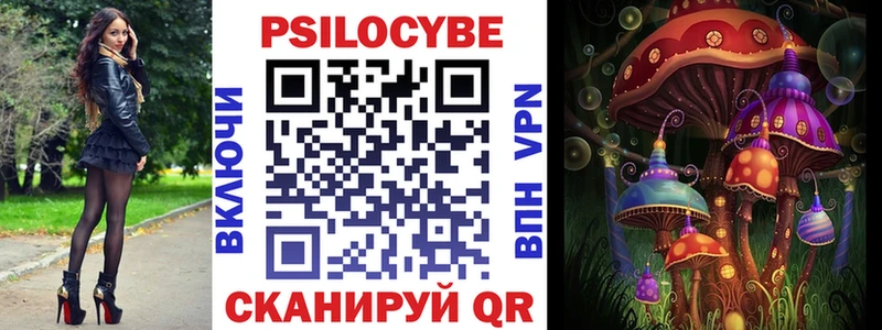 Псилоцибиновые грибы Psilocybe Карабаш