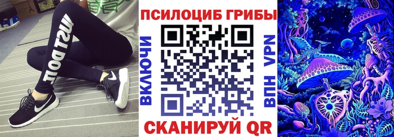 Псилоцибиновые грибы Cubensis  Карабаш 